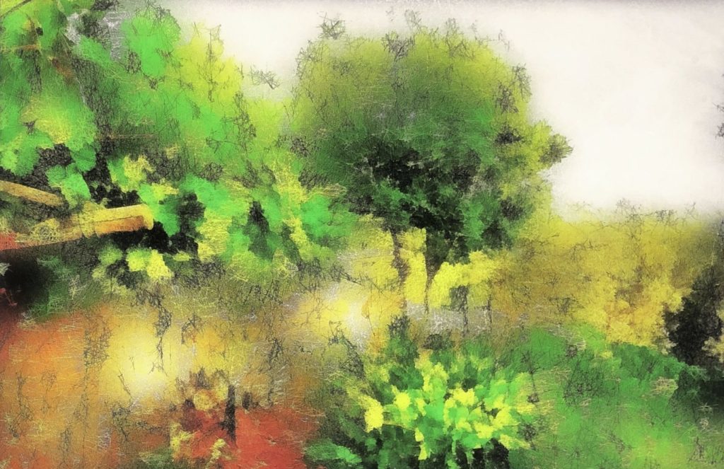 Ben Bronstein: Grapes and Tree in the Garden (Canvas-taulu)