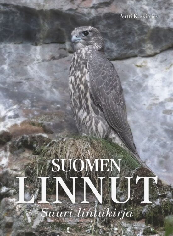 Koskimies, Pertti: Suomen linnut - Suuri lintukirja