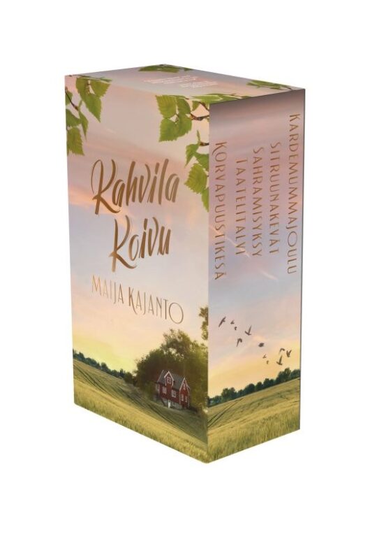 Kajanto, Maija: Pyykkipäivä