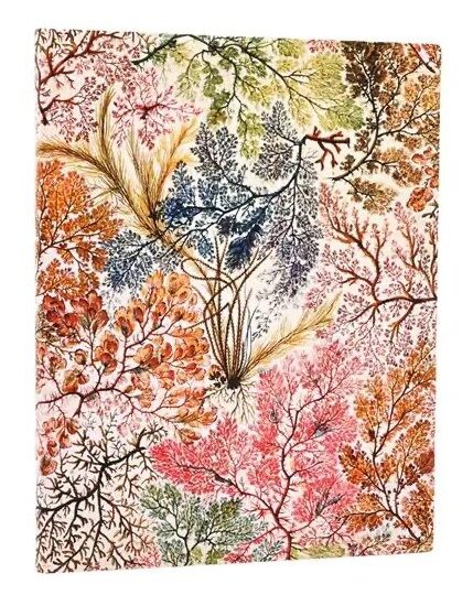 Muistikirja Paperblanks Ultra Flexis - Anemone