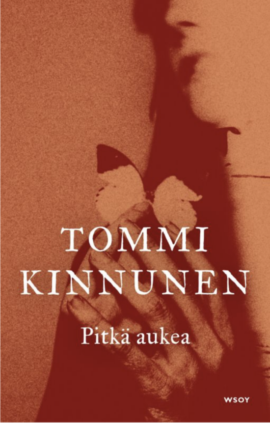 Kinnunen, Tommi: Pitkä aukea